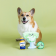 Pet Shop by Fringe Studio Drop Me a Lime Burrow Dog Toy Supply