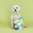 Pet Shop by Fringe Studio Drop Me a Lime Burrow Dog Toy Supply