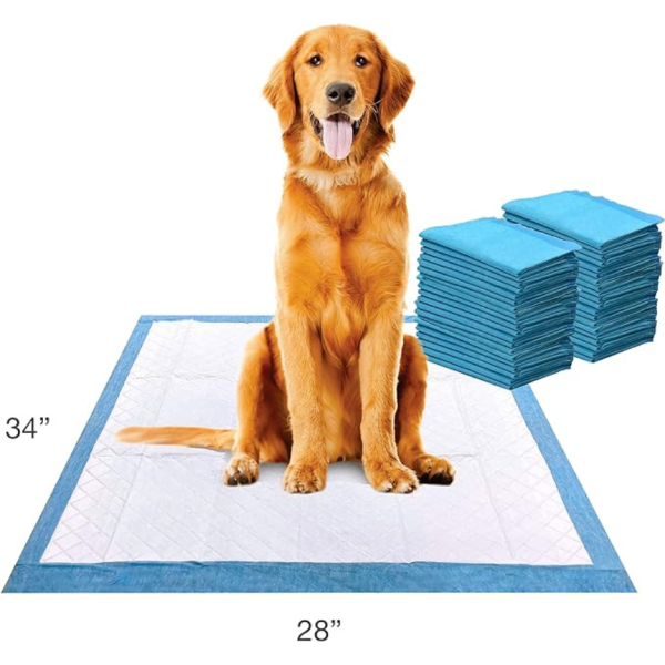 Four Paws Wee-Wee Pet Training and Puppy Pads, 28  x 34  Cheap