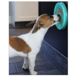 Tall Tails 6  Lickable Suction Cup Reward Pet Dish for Dogs & Cats Online