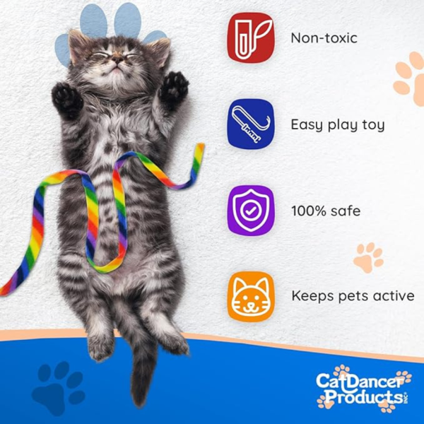 Cat Dancer Cat Charmer Rainbow Cat Toy Online