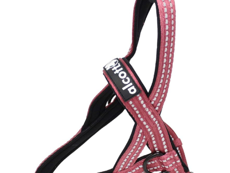 Alcott Norwegian Nylon Dog Harness Red Sale