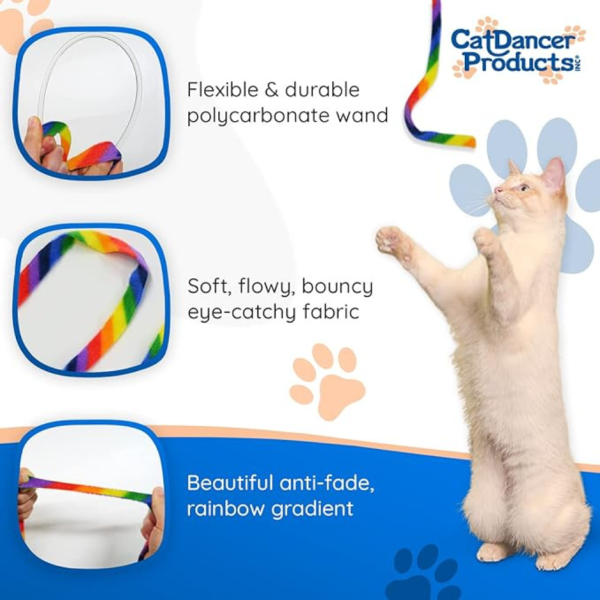 Cat Dancer Cat Charmer Rainbow Cat Toy Online