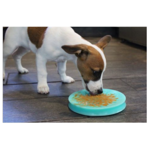 Tall Tails 6  Lickable Suction Cup Reward Pet Dish for Dogs & Cats Online