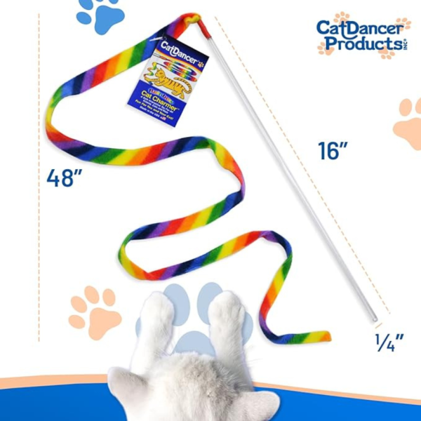 Cat Dancer Cat Charmer Rainbow Cat Toy Online