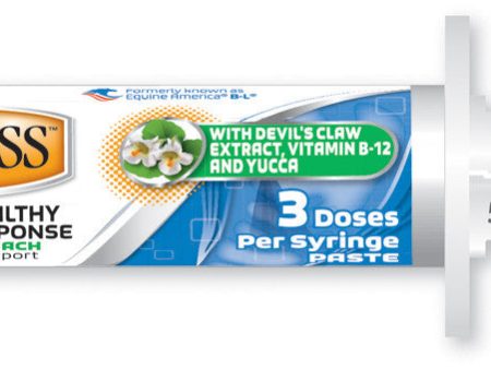 W F Young Inc - Absorbine Bute-less Paste Syringe For Sale