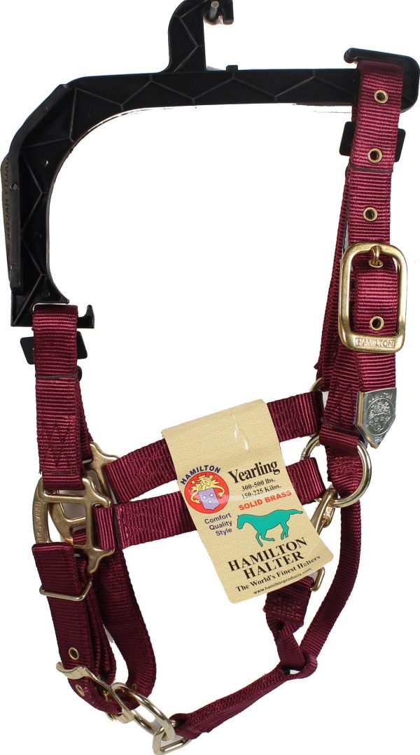 Hamilton Halter Company - 1-inch Adjustable Chin Strap Halter With Snap Sale