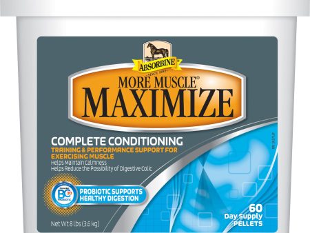 W F Young Inc - Absorbine More Muscle Maximize Conditioner Online Hot Sale