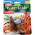 Nylabone Corp (bones) - Healthy Edibles Puppy  dinosaur  T-rex Twin Pack Online Sale