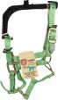 Hamilton Halter Company - 1-inch Adjustable Chin Strap Halter With Snap Sale