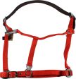 Gatsby Leather Company - Nylon Breakaway Halter For Discount