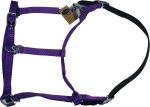 Gatsby Leather Company - Nylon Breakaway Halter For Discount