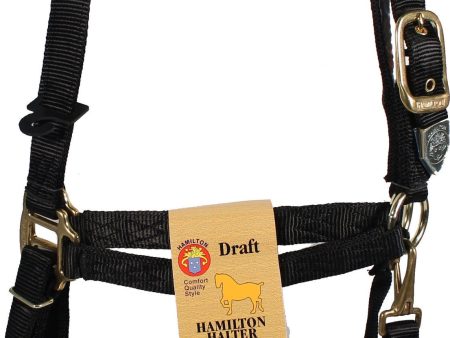 Hamilton Halter Company - 1-inch Adjustable Chin Strap Halter With Snap Sale