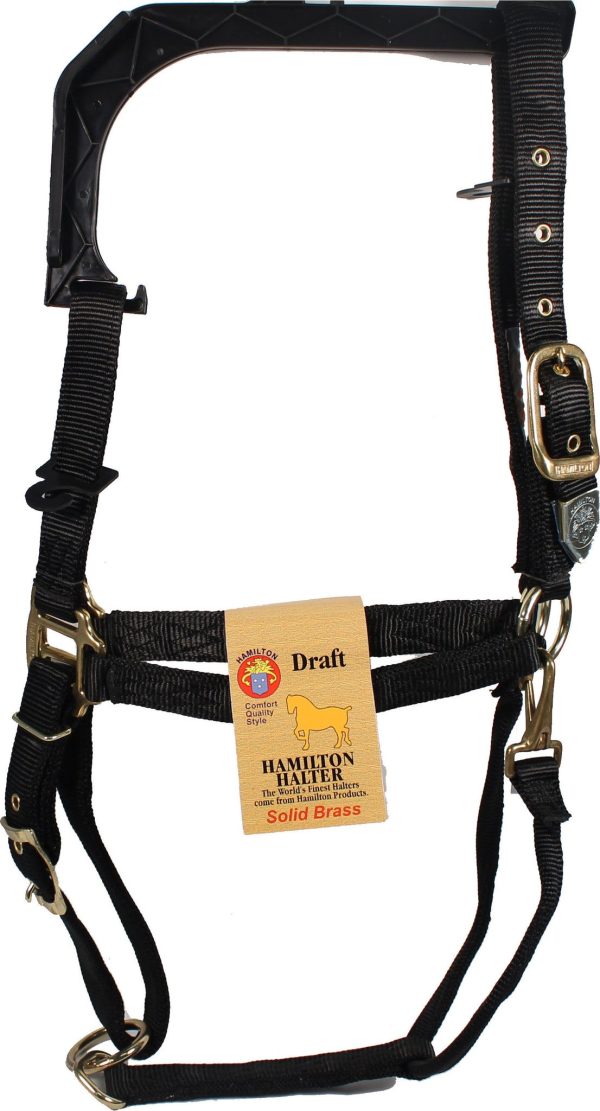 Hamilton Halter Company - 1-inch Adjustable Chin Strap Halter With Snap Sale