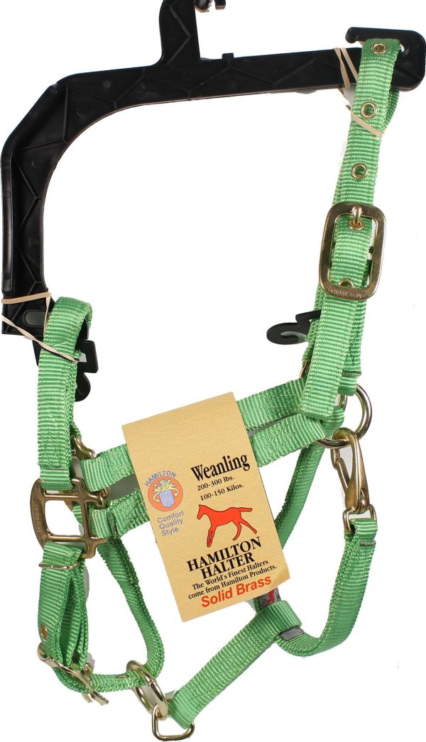 Hamilton Halter Company - 3 4-inch Adjustable Chin Strap Halter With Snap For Sale