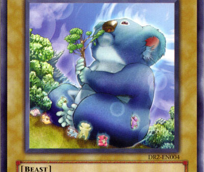 Big Koala [DR2-EN004] Common For Cheap