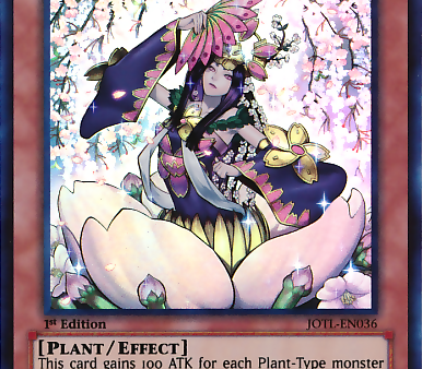 Talaya, Princess of Cherry Blossoms [JOTL-EN036] Super Rare For Discount