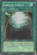 Ancient Forest [ANPR-EN048] Super Rare Cheap