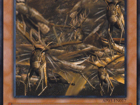 Swarm of Locusts [AP03-EN017] Common For Sale